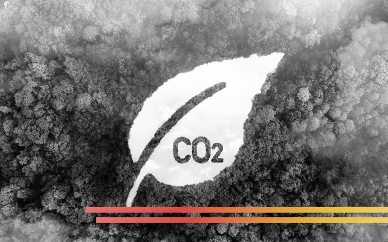 Carbon Emission Calculation